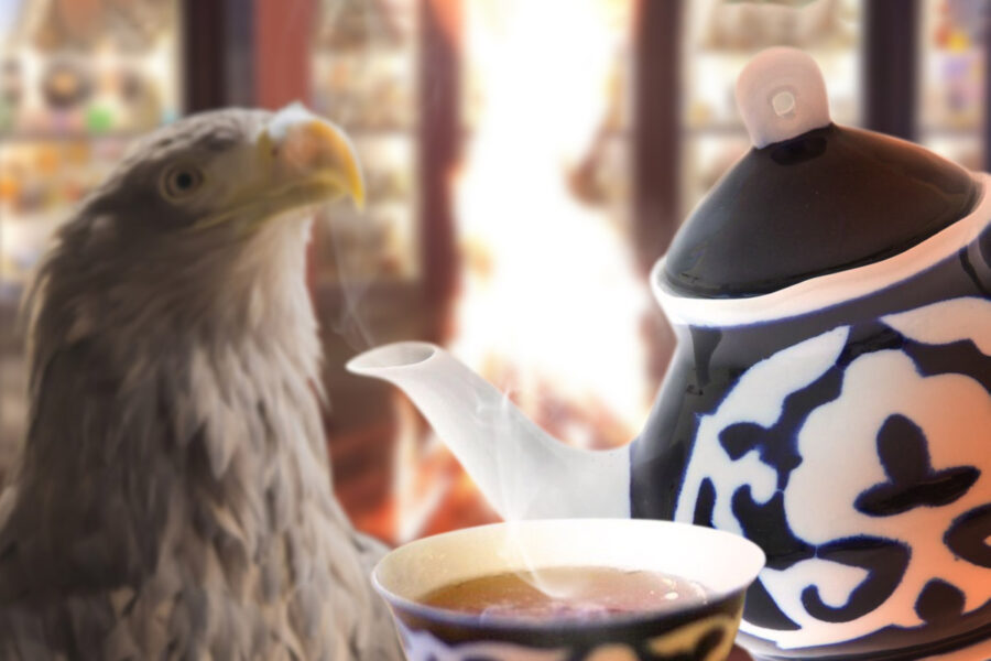 Шаманский чай, орёл и юрта