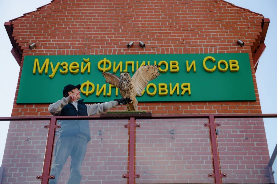 Музей Филинов и Сов «ФилоСовия»